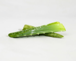 CYMBIOTIKA Daily Probiotic Supplement Capsules - Image 