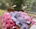 Artificial Orchid Flower Stem - Image 