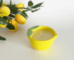 Lemon Home Decor Collection - Image 