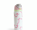 Stainless Steel Water Bottle Owala - Image 