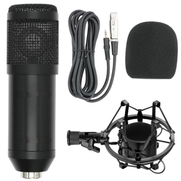 Conqueror Professional Stereo Recording Microphone