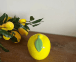 Lemon Home Decor Collection - Image 