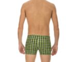 Arena Men Training Swimwear Printed Check Short - Image 