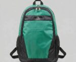 Peak Team Line Backpack Water Repellent - Image 