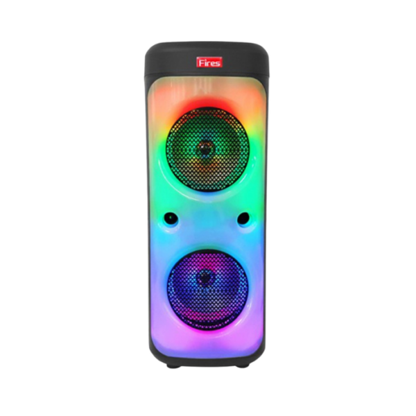 DPUS Double Portable Speaker Karaoke Bluetooth With Wireless Mic
