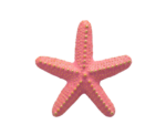 Earrings Starfish - Image 