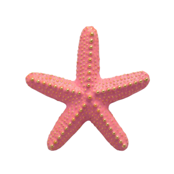 Earrings Starfish
