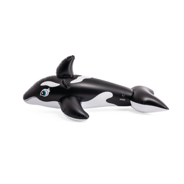 Whale Ride On Float
