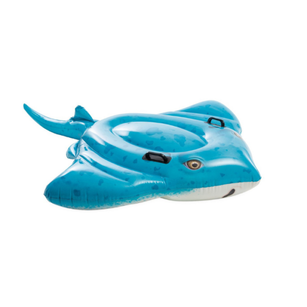 Stingray Ride On Float
