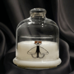 cloche candle - 140ml