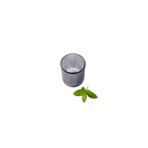 Set of 2 Tumbler Glass Cup Dark Blue