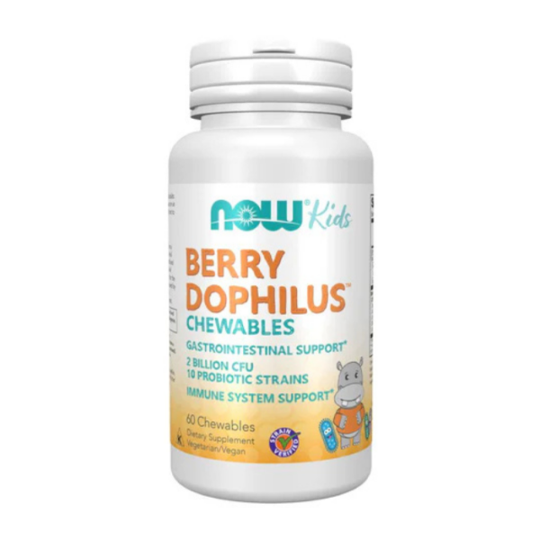 NOW Kids BerryDophilus Chewables 2 Billion CFU
