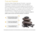 Youtheory Shilajit Energy Support Capsules - Image 
