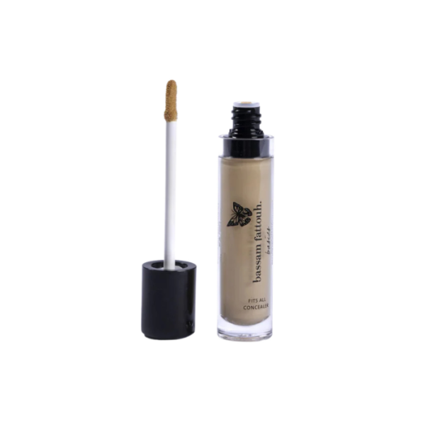 Bassam Fattouh Concealer Fits All