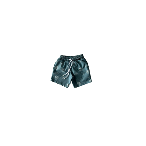 Seashell Swim Shorts Boys