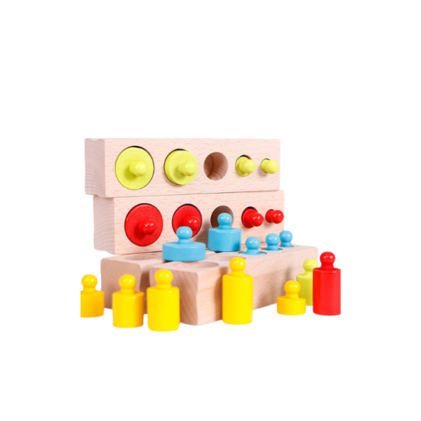 Montessori Wooden Cylinders Socket Blocks