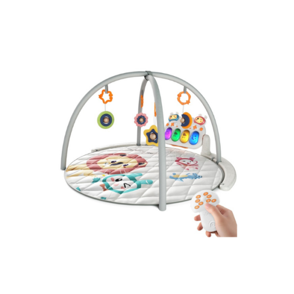 Circular Playmat Activity Gym + Li Battery
