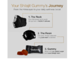 Be Bodywise Pure Himalayan Shilajit Gummies - Image 