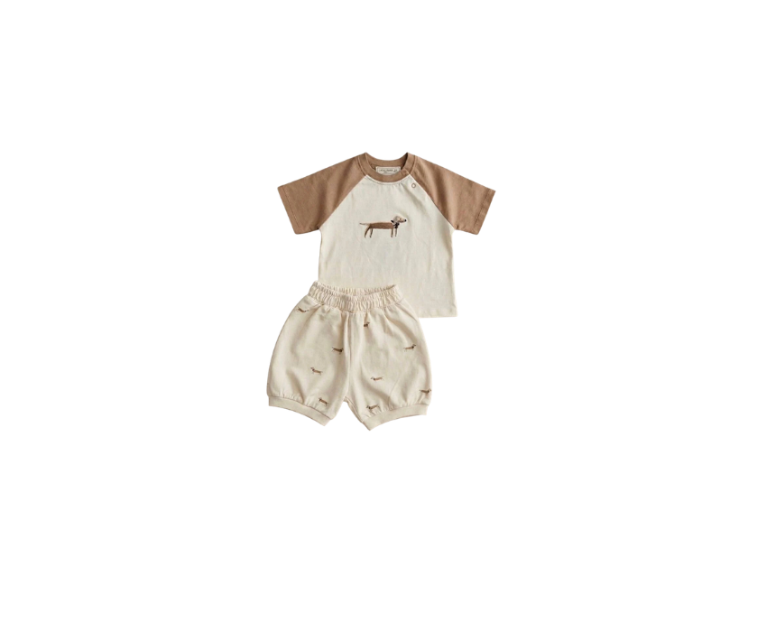 30 Dog Set Babies - Image 1