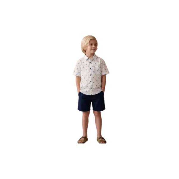 Shorts & Palm Tree Pattern Shirt Set