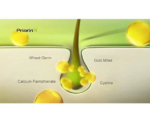 PRIORIN Hair Growth Supplement Capsules - Image 