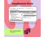 Lemme Fiber Probiotic Gummies Adults - Image 