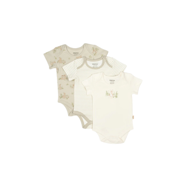 3 Pieces Short Sleeve Body Bunny 100% Organic Cotton