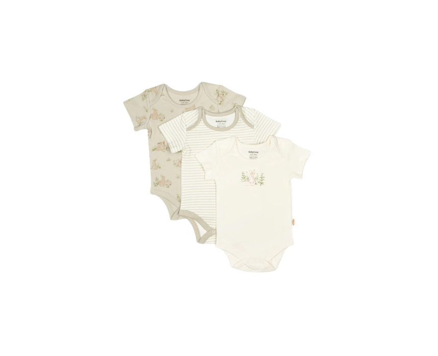 468 3 Pieces Short Sleeve Body Bunny 100% Organic Cotton - Image 1