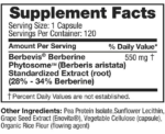 Feel Good Superfoods Berberine Phytosome - Image 