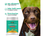 MYOS Muscle Joint Support Supplement - Image 