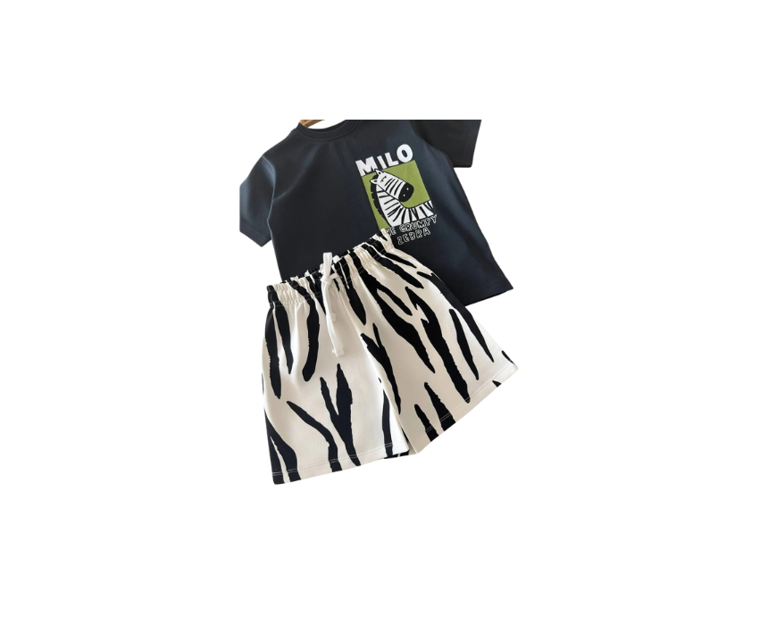 5 MILO the Zebra Set - Image 1