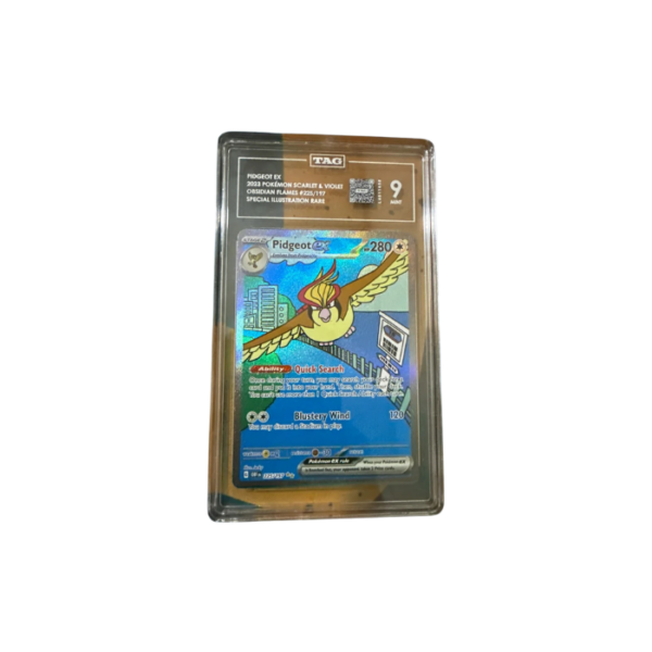 Pidgey TAG 9 Card