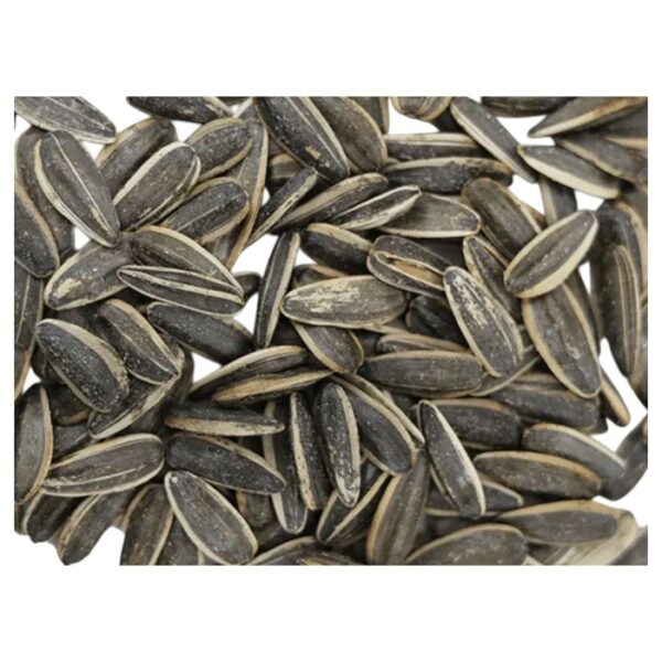 Roasted Sun Flower Seeds