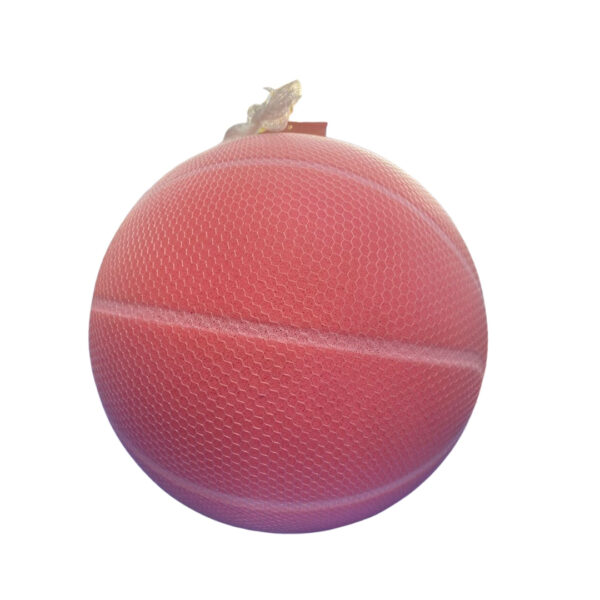 Soft Sponge Basketball (Assorted)