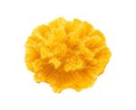 Handmade Carnation Flower Glycerin Soap - Image 
