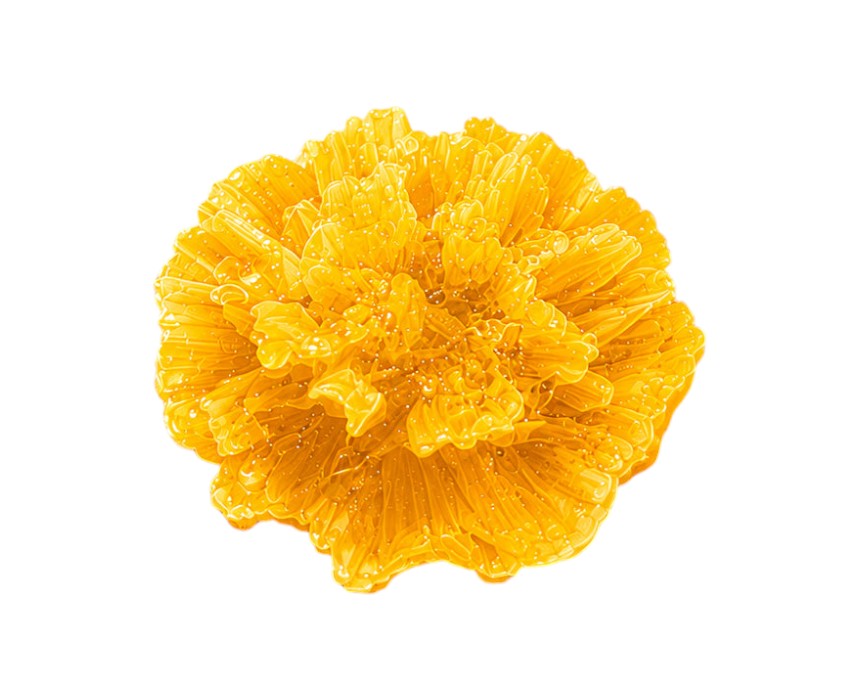 image (37) Handmade Carnation Flower Glycerin Soap - Image 1