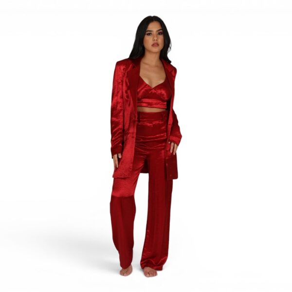 Satin Crop Top Wine Red