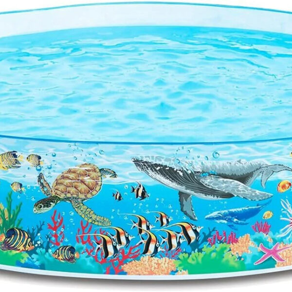 Coral Reef Snapset Pool 244x46cm