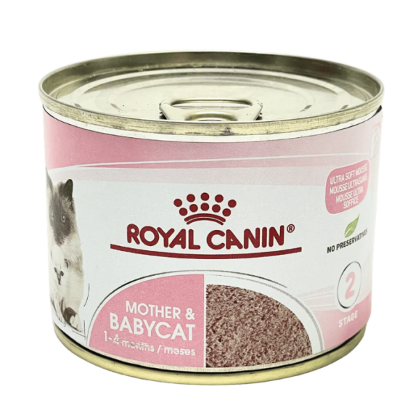 Royal Canin Mother and Baby Cat Wet Can