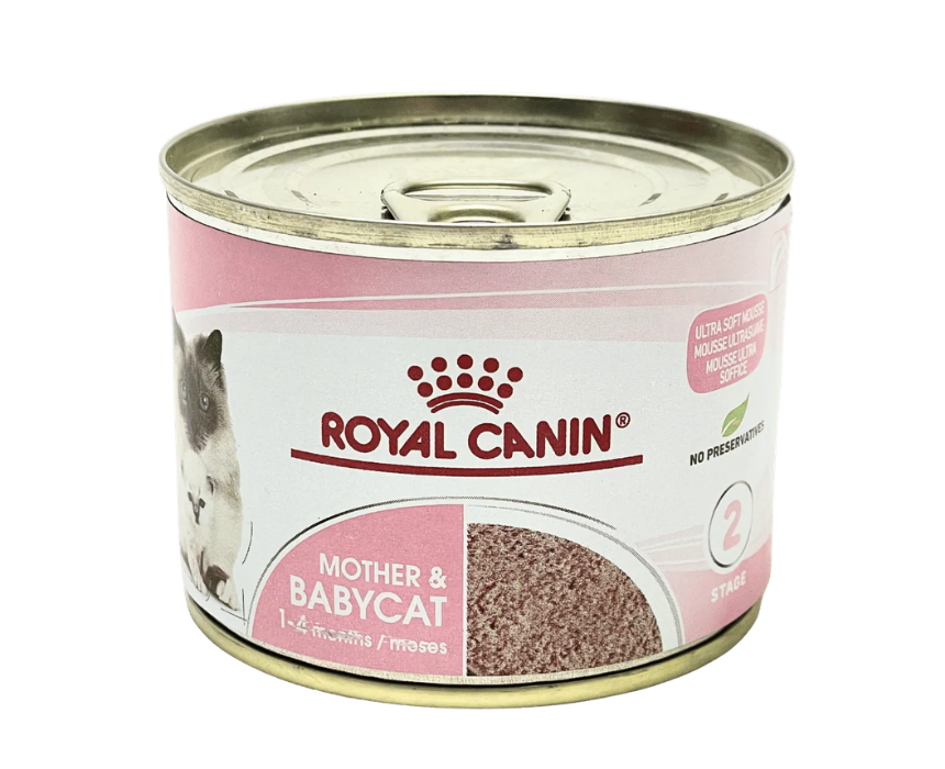 14 Royal Canin Mother and Baby Cat Wet Can - Image 1