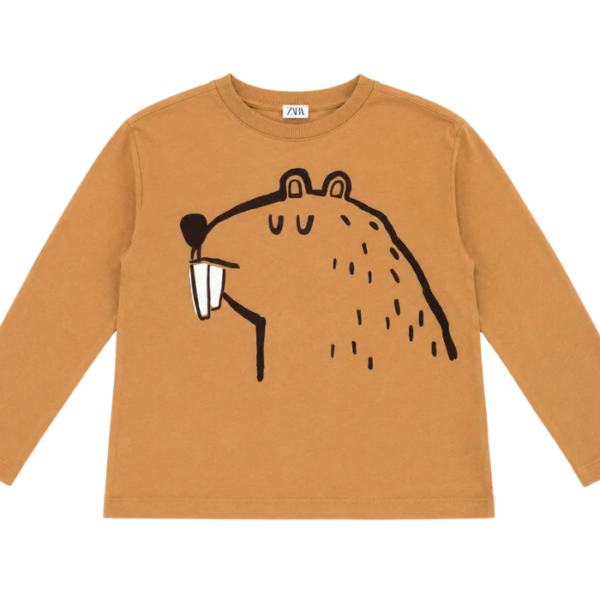 Zara Boys Light Brown Beaver Graphic Long Sleeve Blouse