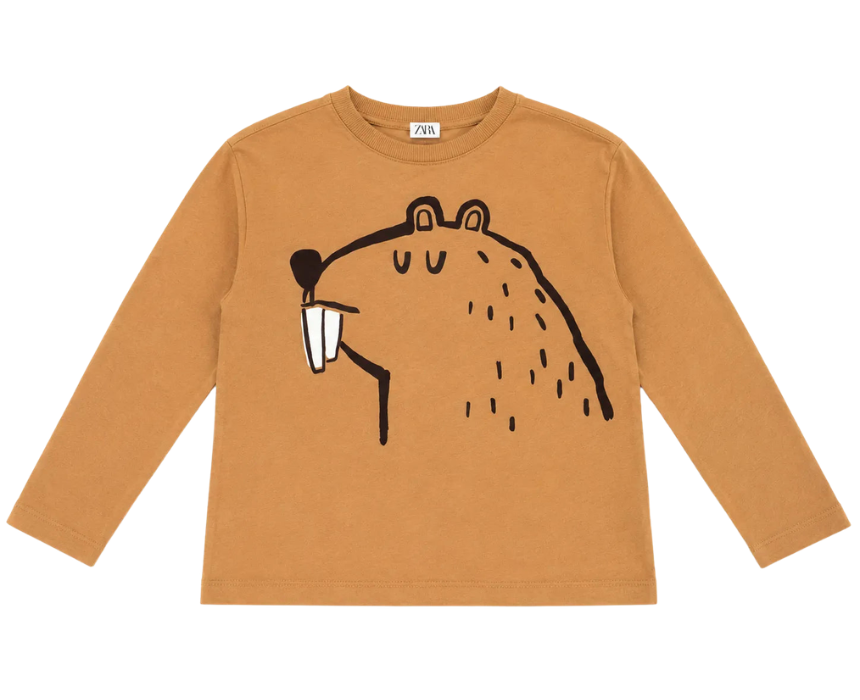 15 Zara Boys Light Brown Beaver Graphic Long Sleeve Blouse - Image 1