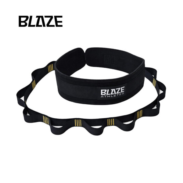 Dip Belt With Carabiners
