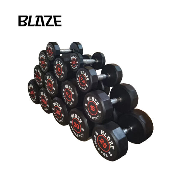 8 Sided Rubber Dumbbell - Leader Series