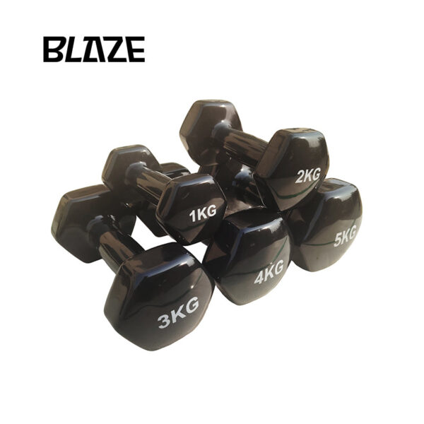 Vinyl Dumbbells