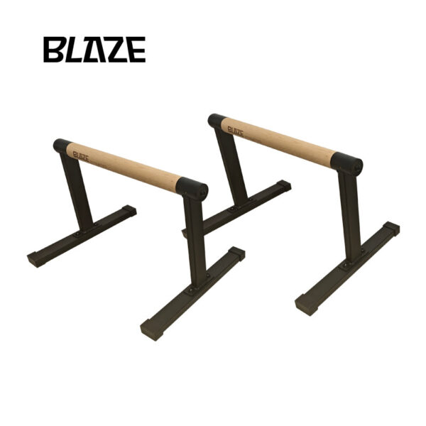 Parallettes with Wooden Handle