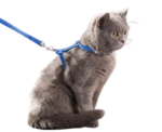 Cat Harness Leash - Image 