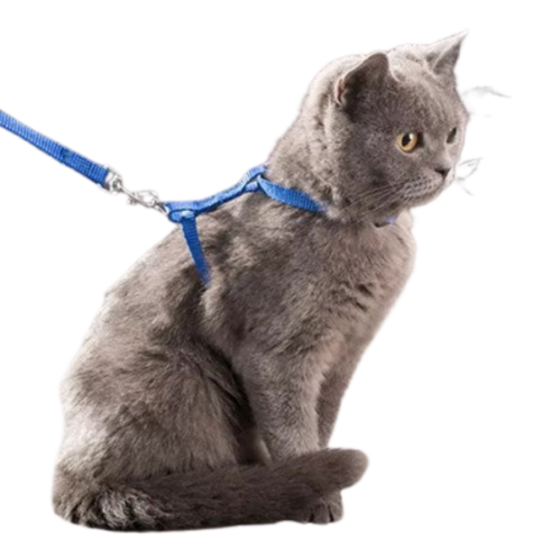 Cat Harness Leash