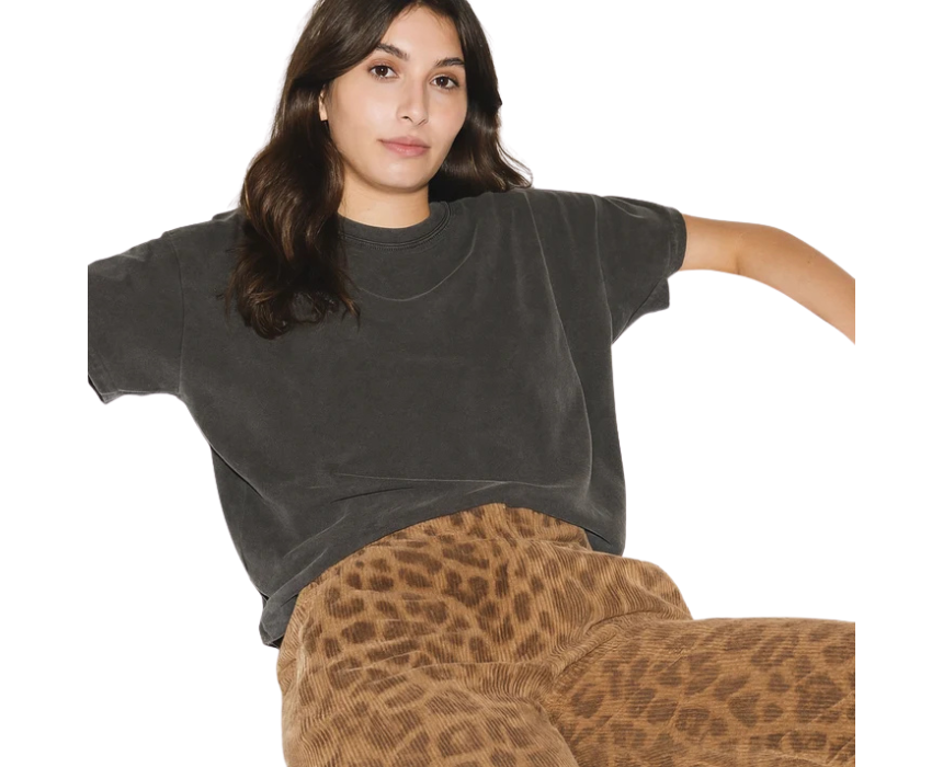 4 Leopard Camel Velours Pants - Image 1