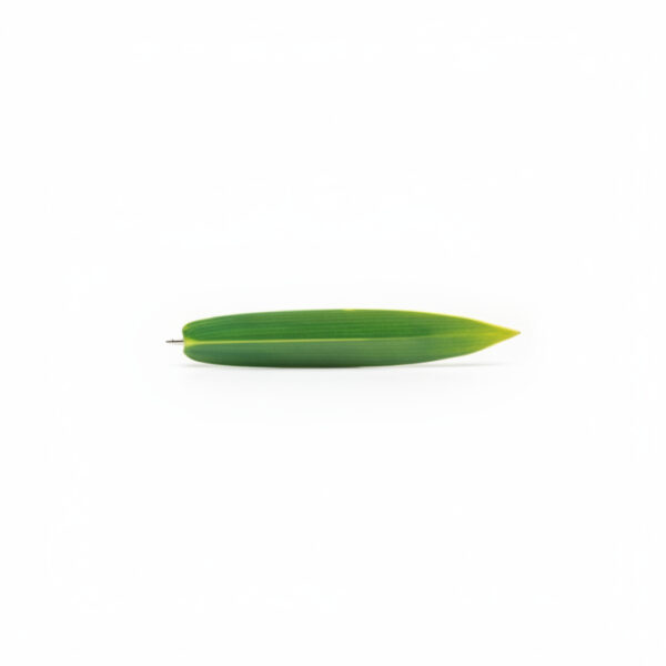 Cute Green Leaf Bookmark PencilFun Novelty Stationery Gift#Pcgl